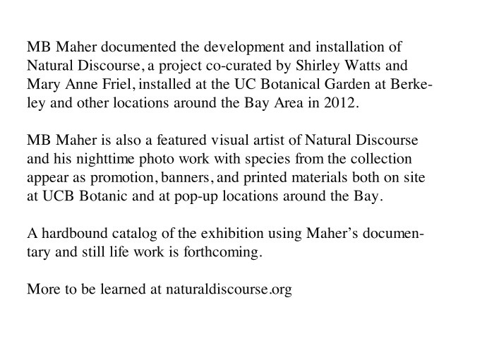 http://gw.mbmaher.com/files/gimgs/th-4_natural.jpg